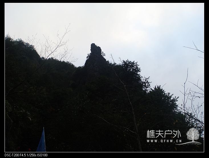 DSC07608.jpg