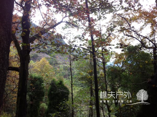 20121202 018.jpg