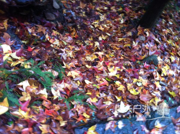 20121202 034.jpg