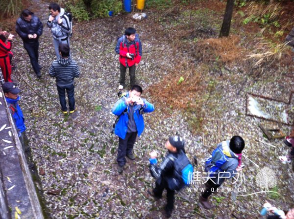 20121202 065.jpg