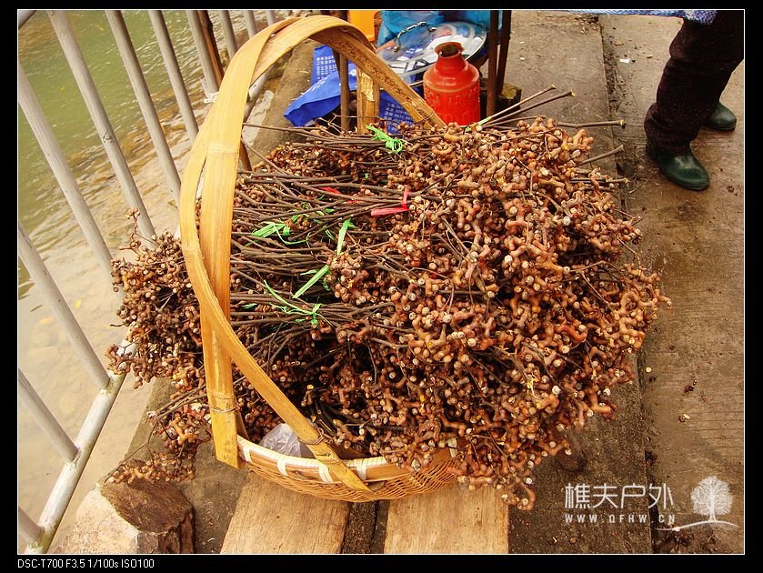 nEO_IMG_DSC09221.jpg