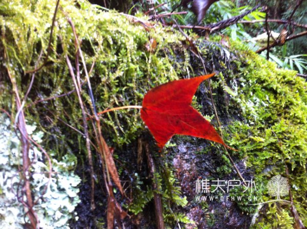 20121202 032.jpg