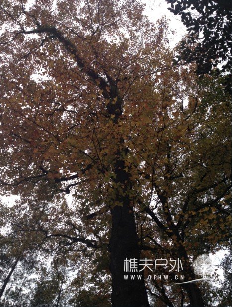 QQ截图20121203215429.jpg