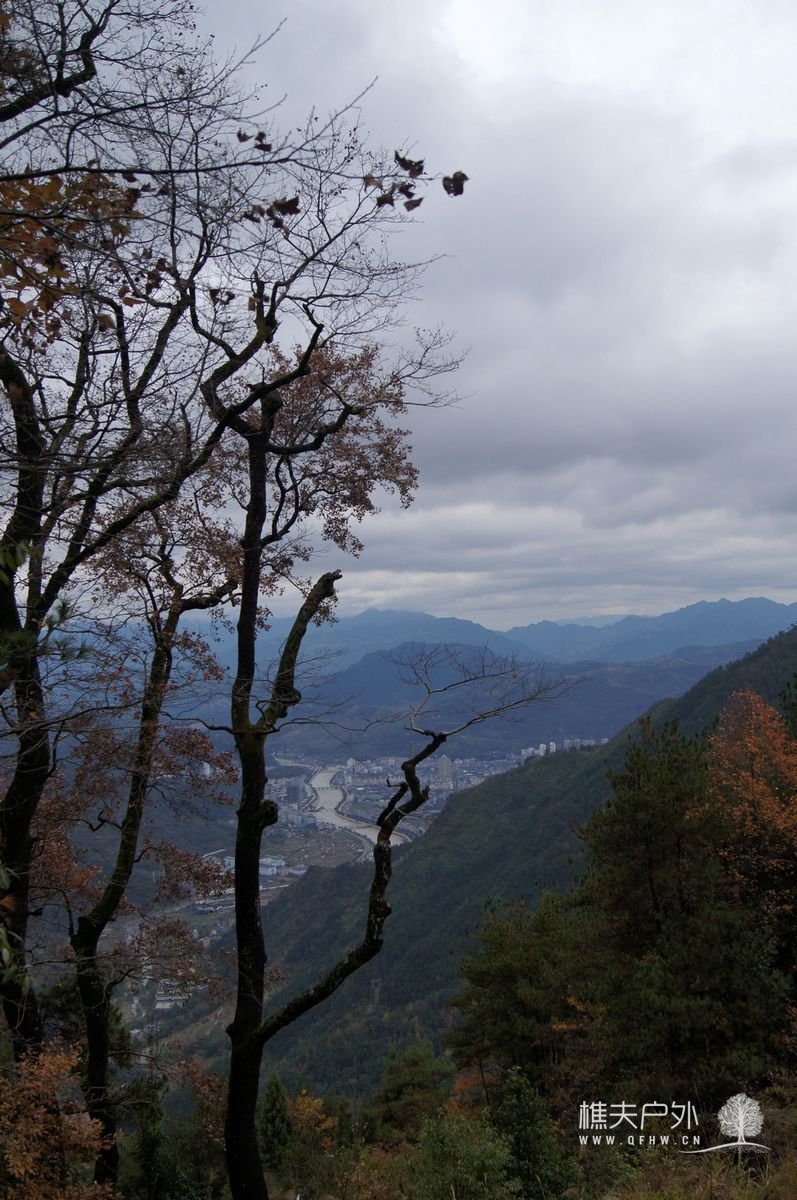 DSC00623.jpg