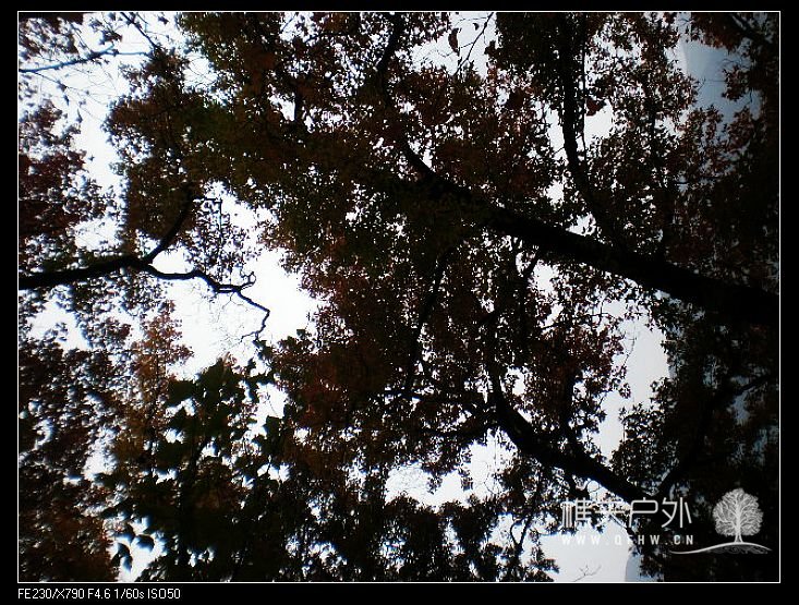 nEO_IMG_PB240288.jpg