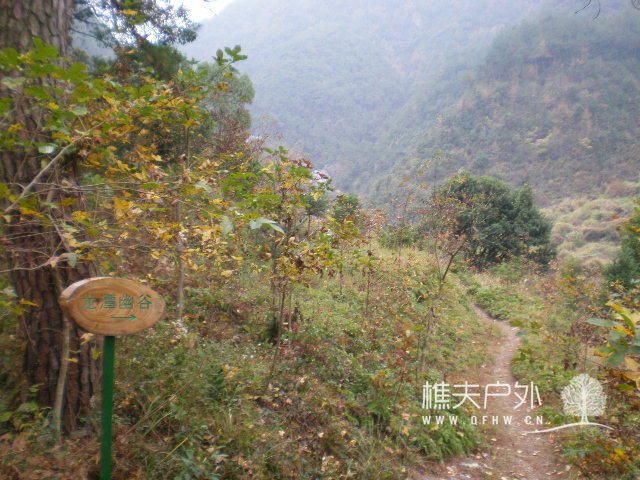 PB240308.JPG
