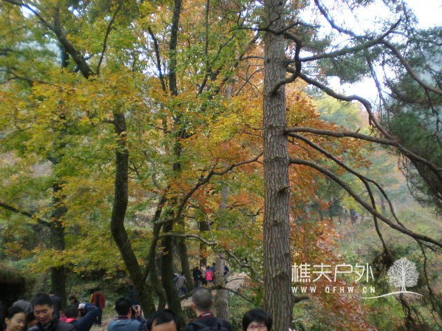 PB240310.JPG
