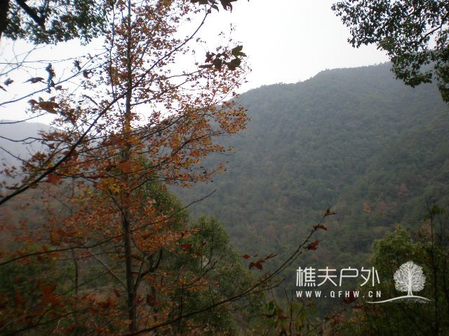 PB240318.JPG