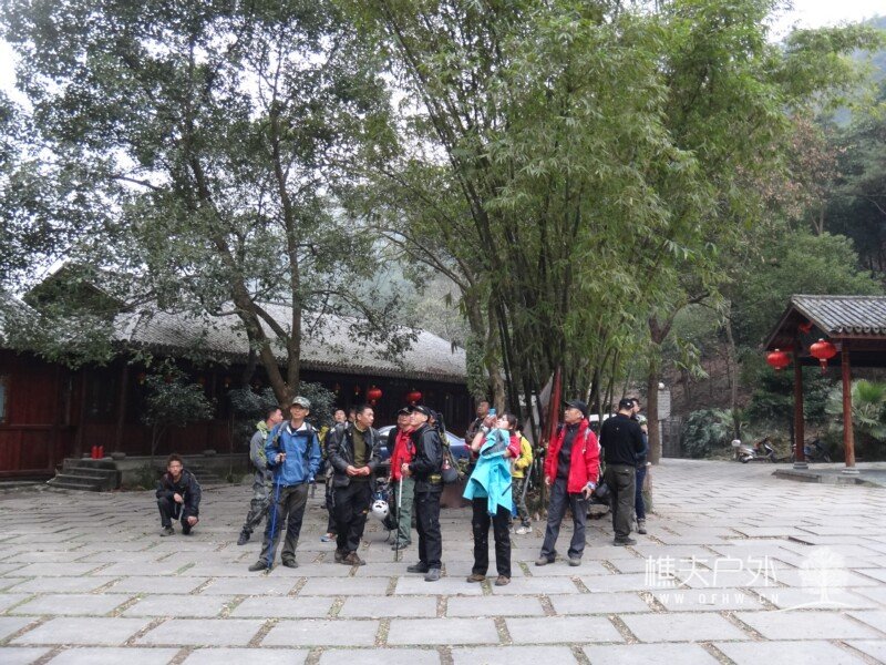 DSC09449.jpg