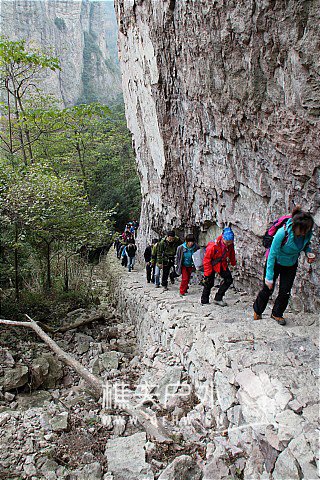 IMG_3175.JPG