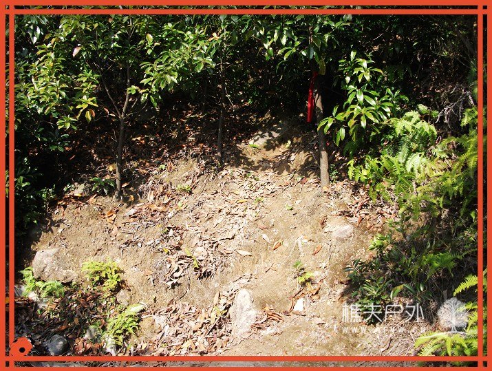 DSCF1599.jpg