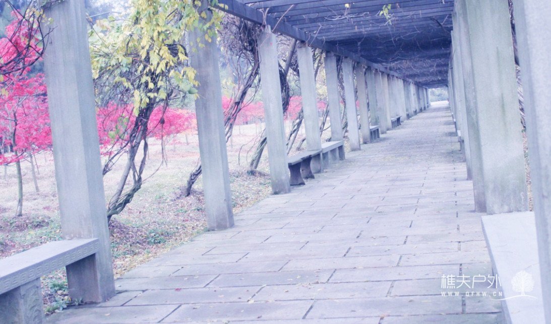 92.jpg