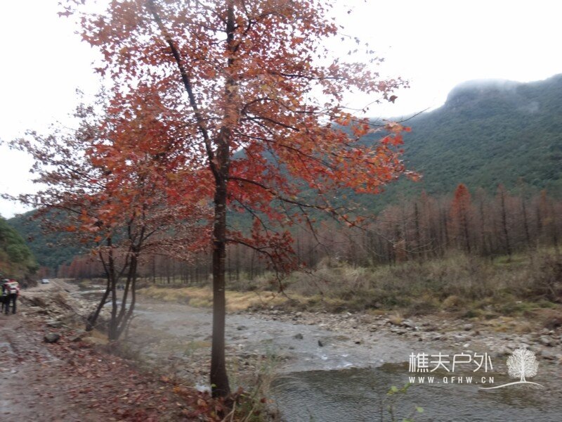 DSC00017.jpg