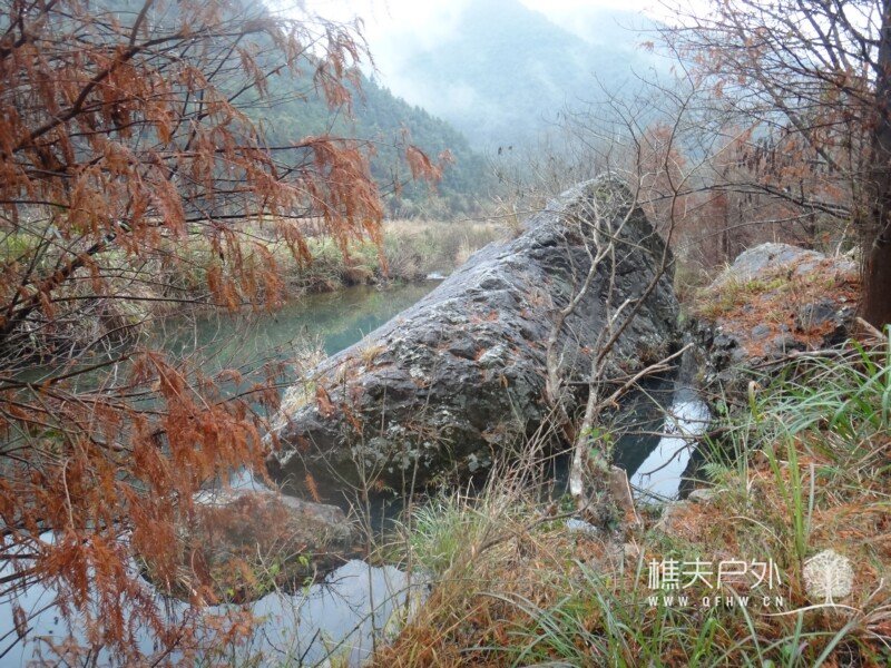 DSC00069.jpg