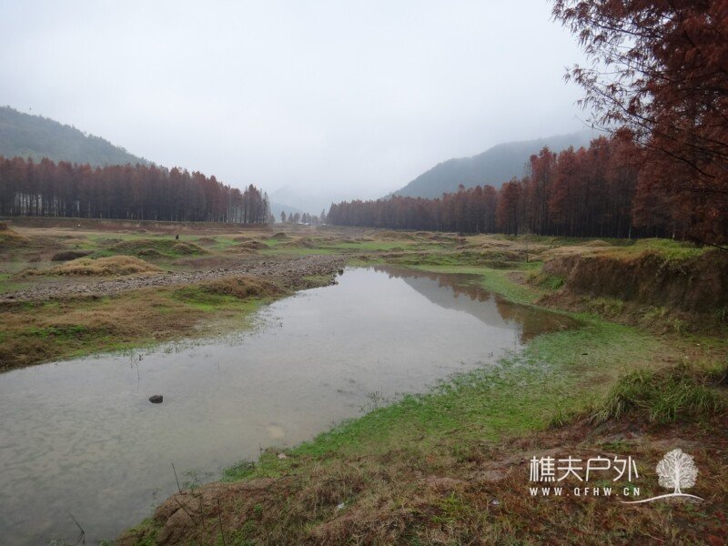 DSC00159.jpg