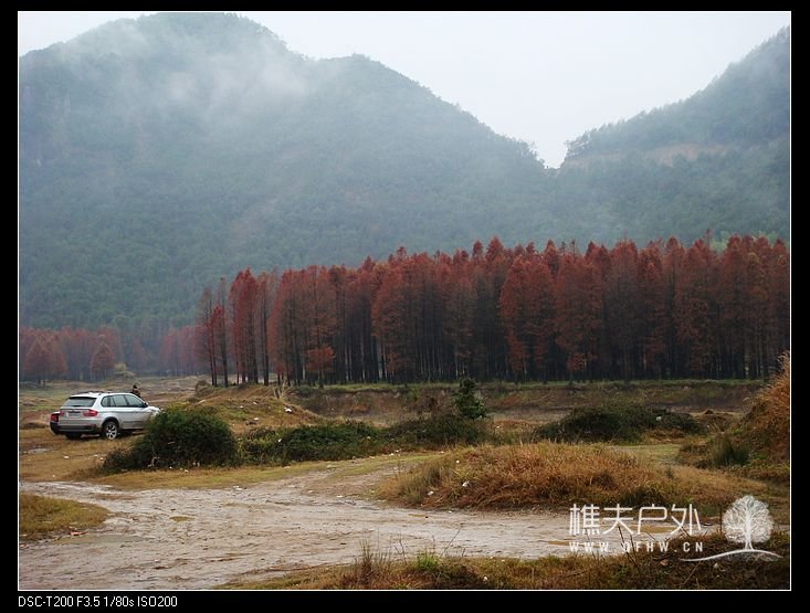 DSC07896.jpg