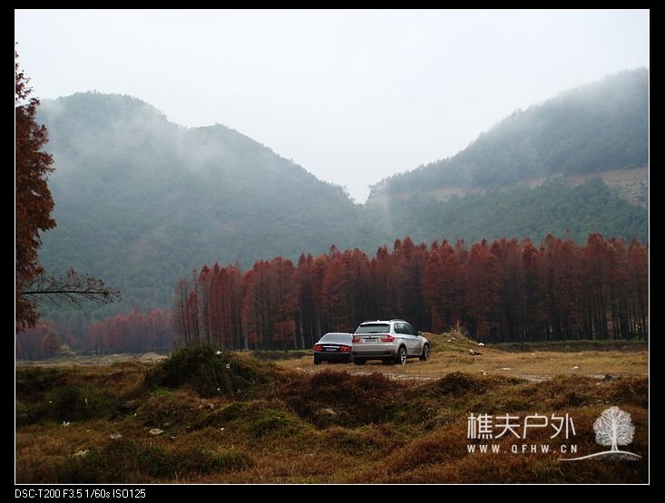 DSC07899.jpg