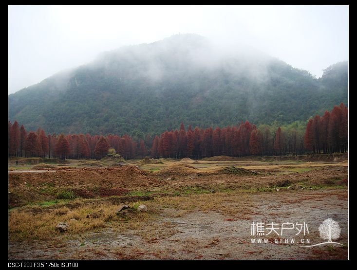DSC07919.jpg