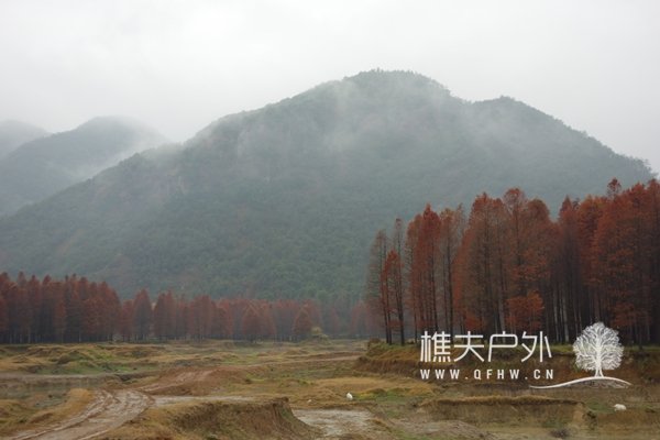 DSC03091.JPG