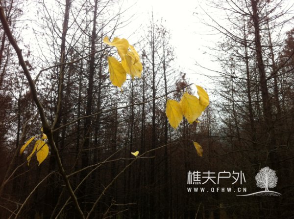 20121215临海 067.jpg