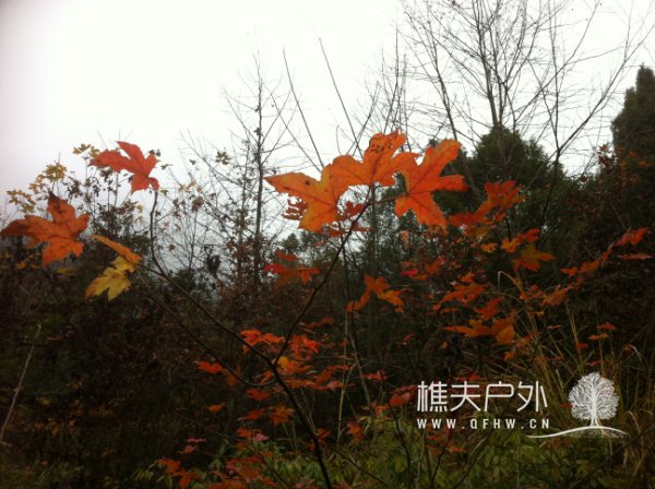 20121215临海 069.jpg
