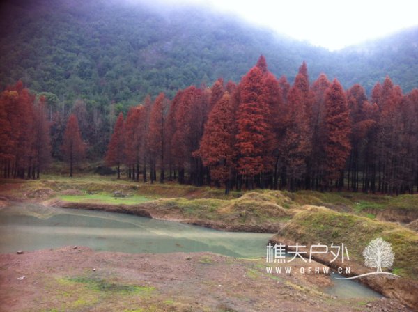 20121215临海 118.jpg