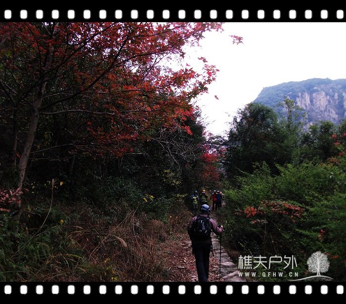 DSCF2031.jpg