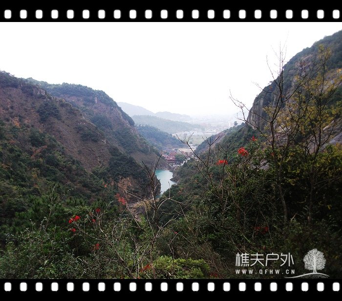 DSCF2051.jpg