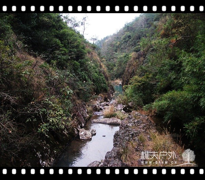 DSCF2136.jpg