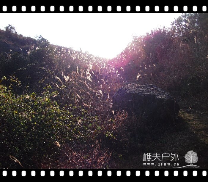 DSCF2237.jpg