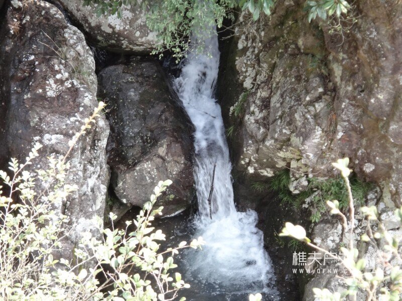 DSC00388.jpg