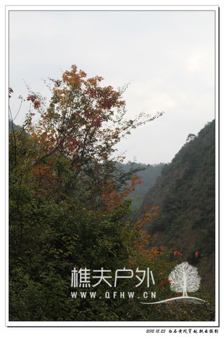 nEO_IMG_IMG_7881.jpg
