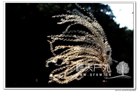nEO_IMG_IMG_8030.jpg