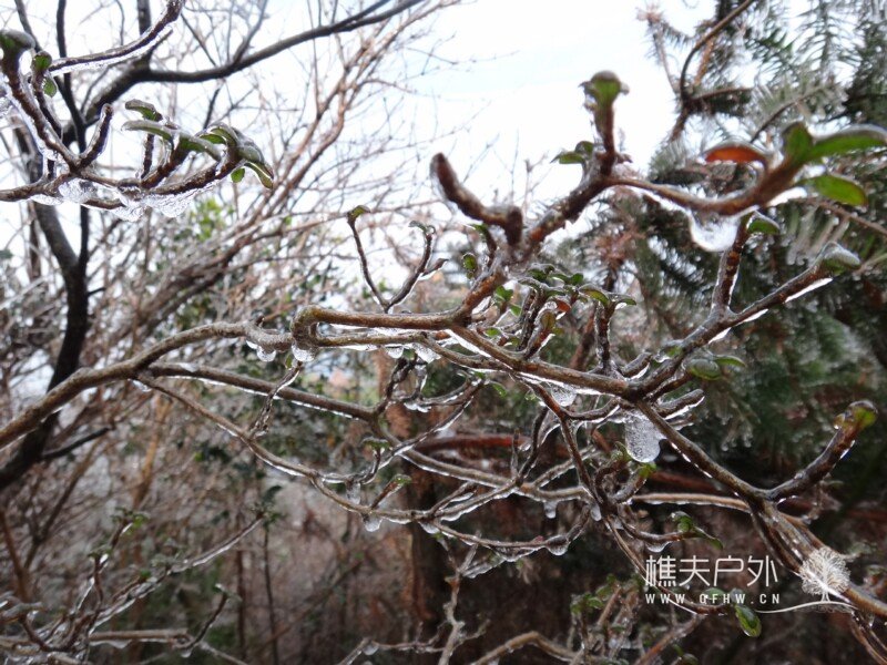 DSC00587.jpg