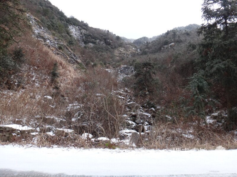 DSC00625.jpg