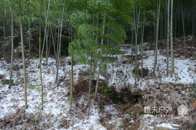 DSC_1342.jpg
