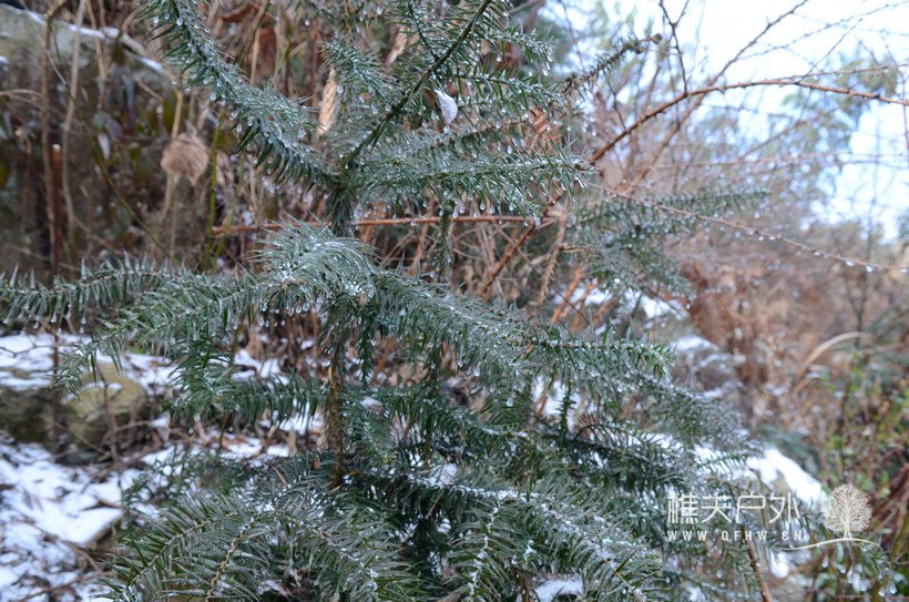 DSC_1361.jpg