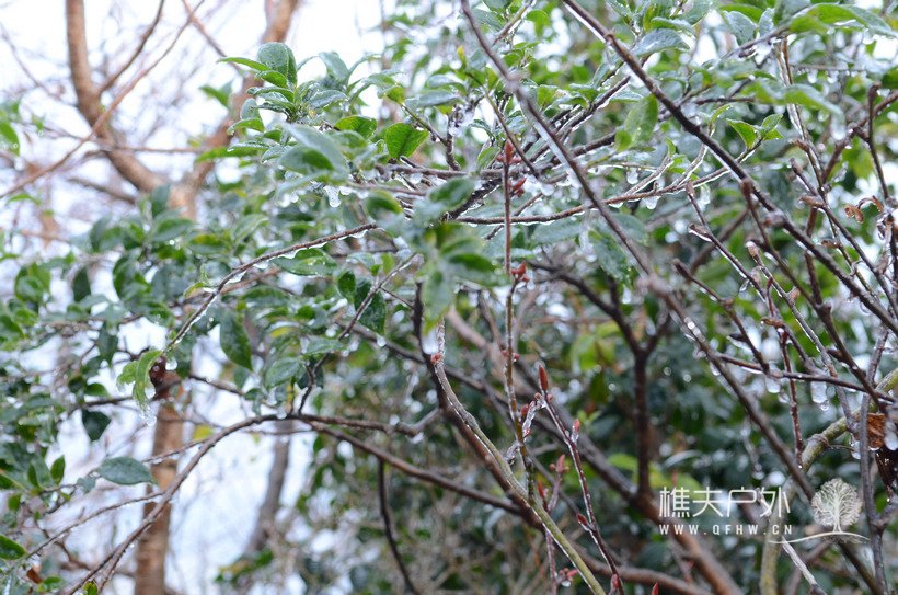 DSC_1423.jpg