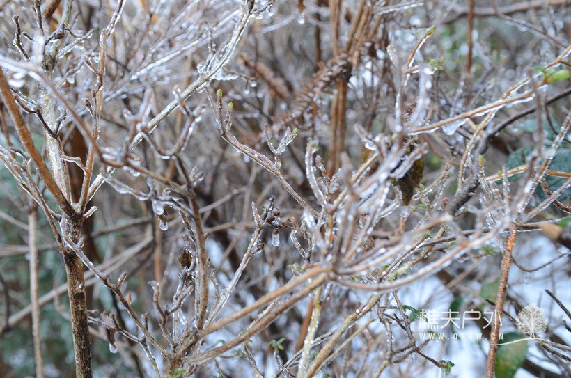 DSC_1441.jpg