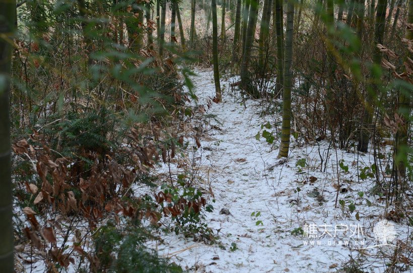 DSC_1451.jpg
