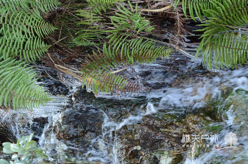 DSC_1474.jpg