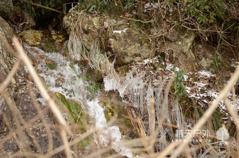 DSC_1710.jpg