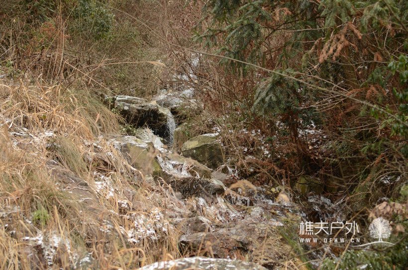 DSC_1711.jpg