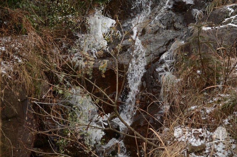 DSC_1718.jpg