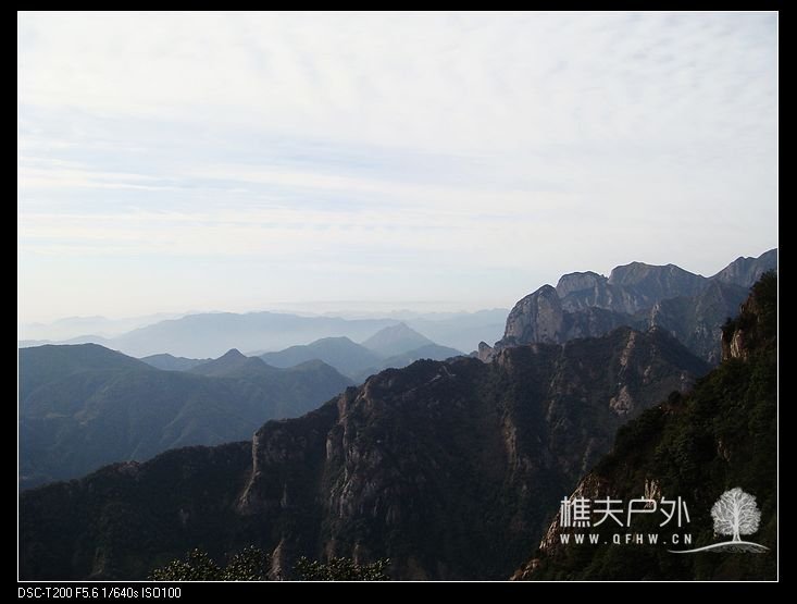 DSC08009.jpg