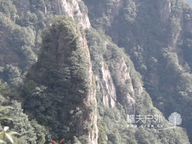 DSC01009.JPG
