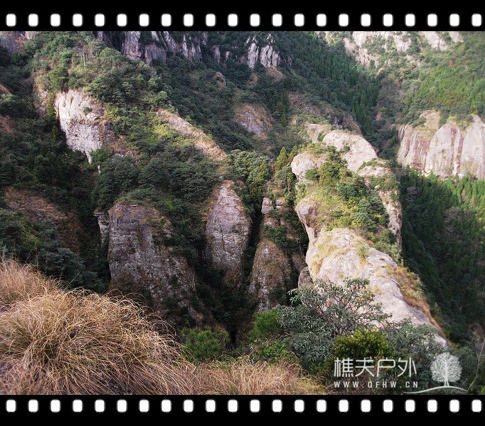 DSCF2553.jpg