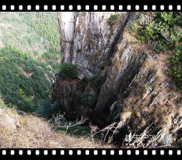 DSCF2575.jpg