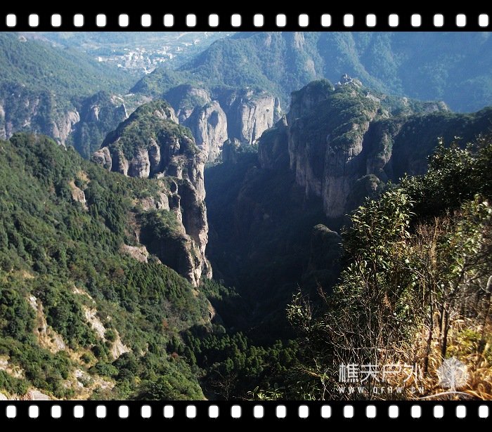 DSCF2595.jpg