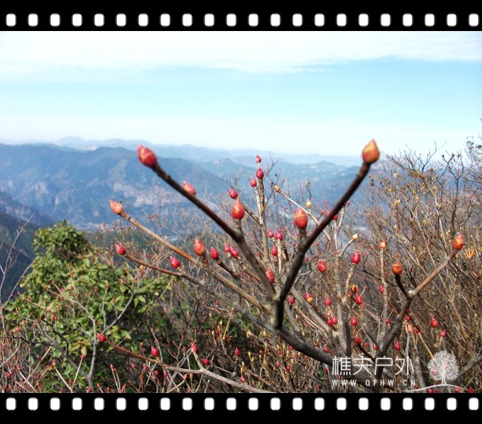 DSCF2645.jpg